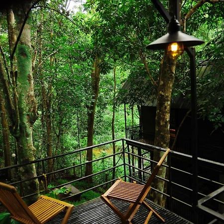 Ranches Jungle Beats Resorts Meppadi Экстерьер фото